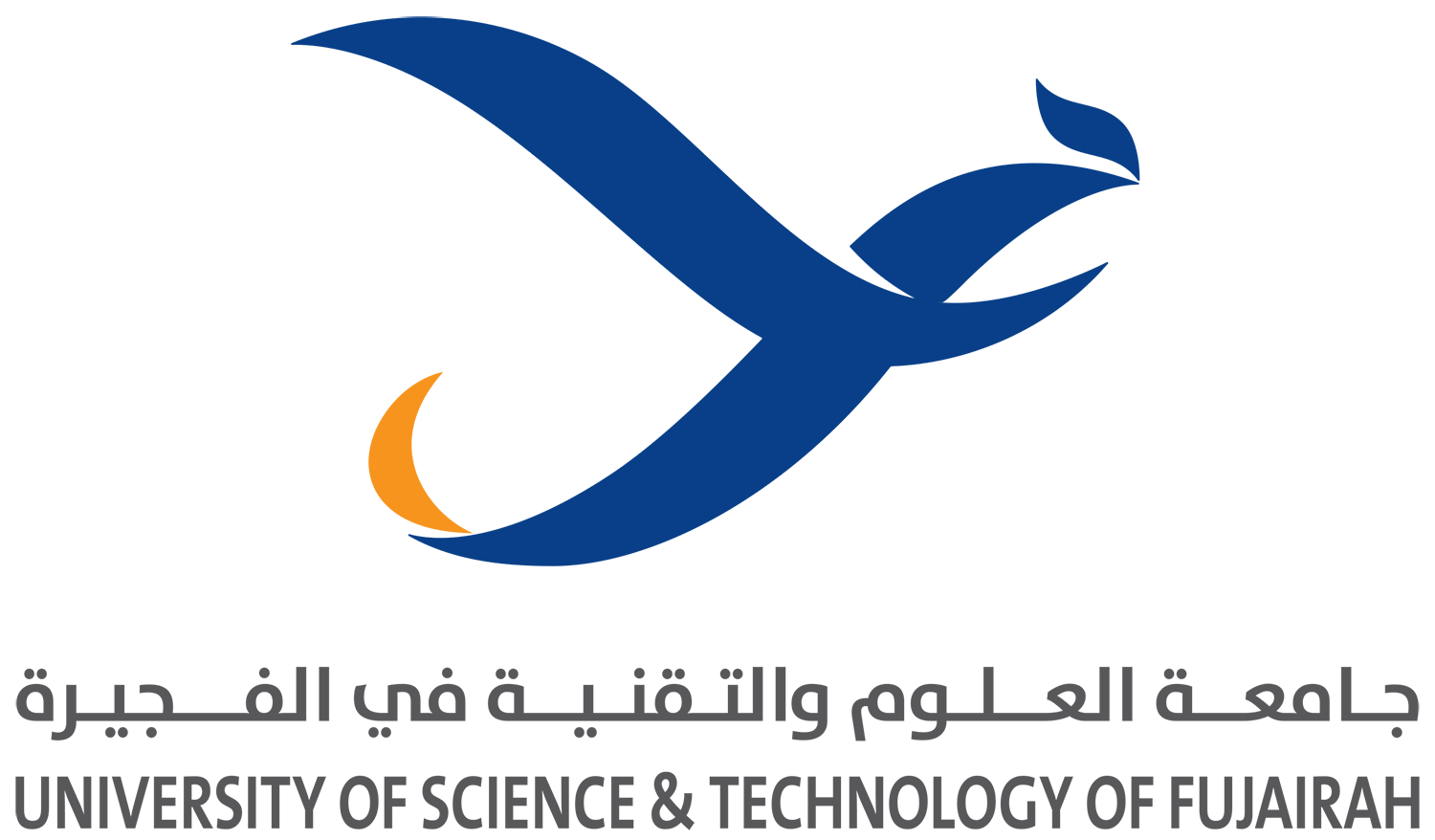 University of Science and Technology of Fujairah